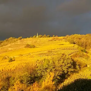 Guest house Wine Passion Panoramic, Chavanay
